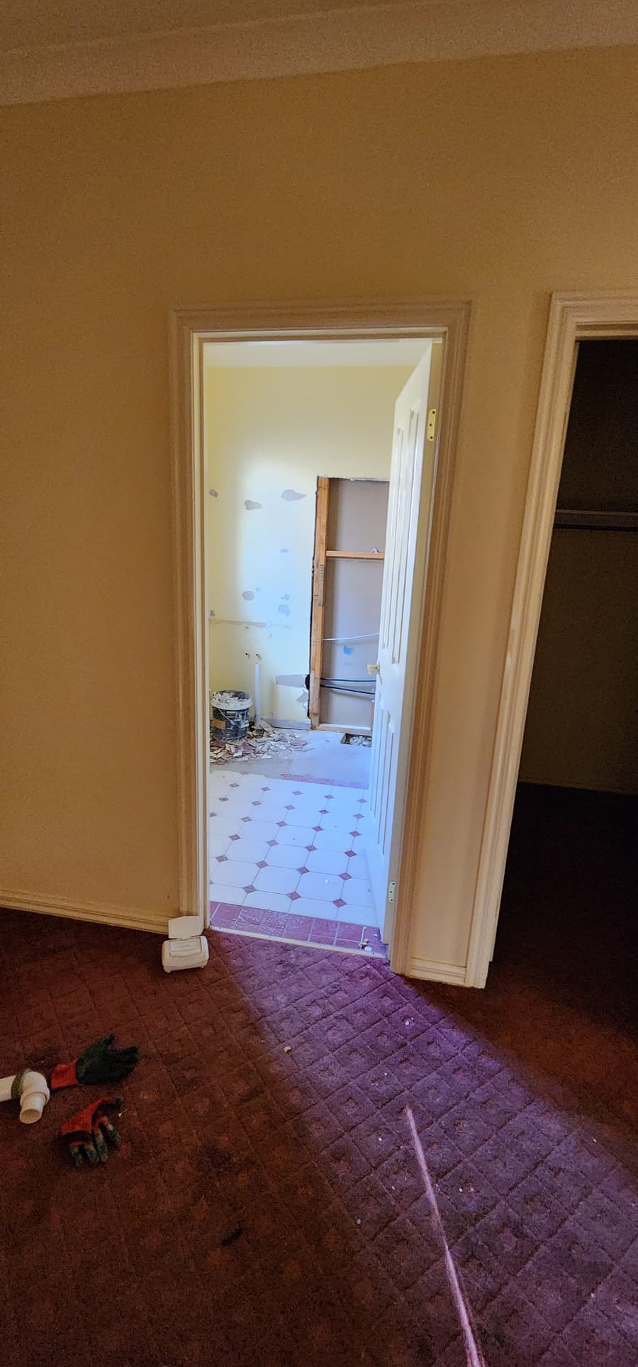 Project Silvergum, Manor Lakes — photo 5
